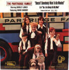 Partridge Family